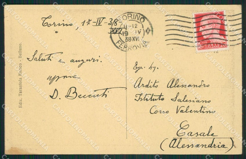Belluno Città cartolina ZKM8669 – retro
