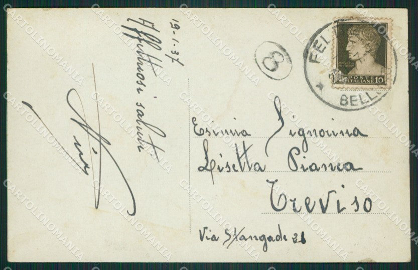 Belluno Feltre cartolina ZKM8700 – retro