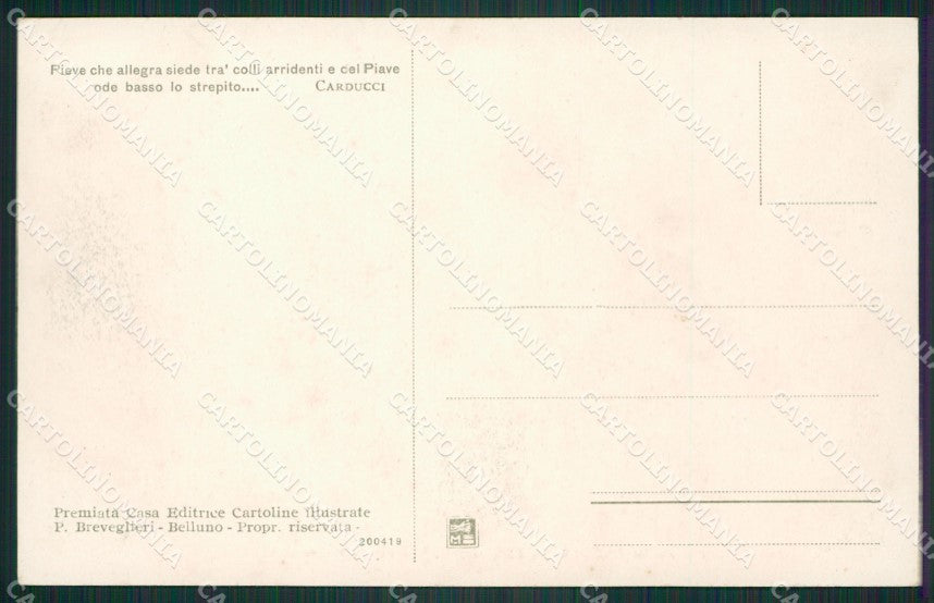 Belluno Pieve di Cadore cartolina ZKM8704 – retro