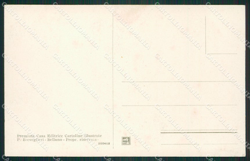 Belluno Pieve di Cadore cartolina ZKM8705 – retro