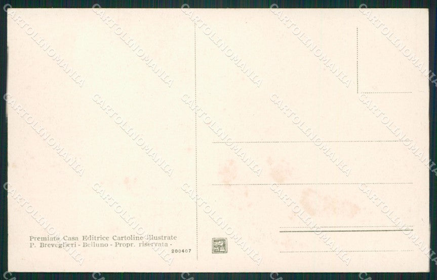 Belluno Pieve di Cadore cartolina ZKM8706 – retro