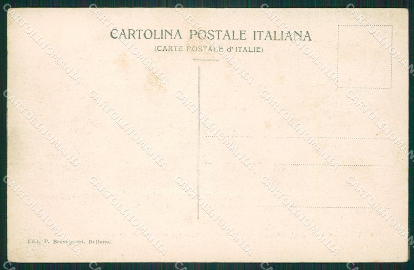 Belluno Pieve di Cadore Casa Tiziano cartolina ZKM8710 – retro