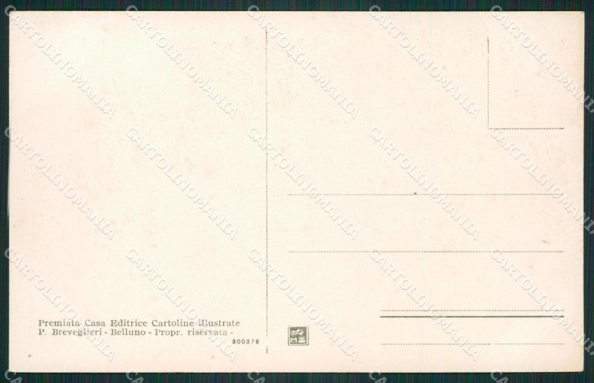 Belluno Pieve di Cadore Casa Tiziano cartolina ZKM8711 – retro
