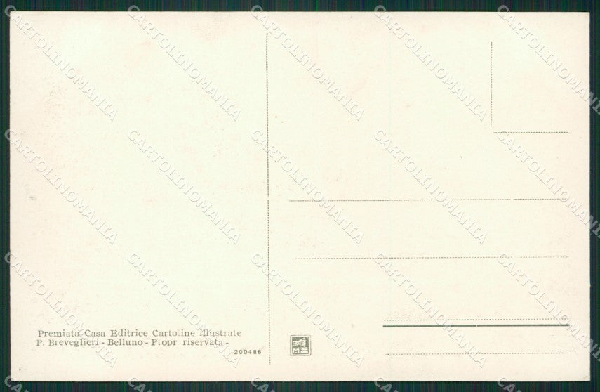 Belluno Pieve di Cadore cartolina ZKM8714 – retro