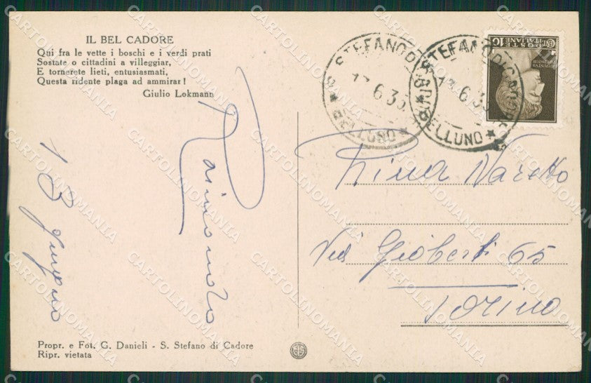 Belluno Santo Stefano di Cadore cartolina ZKM8724 – retro
