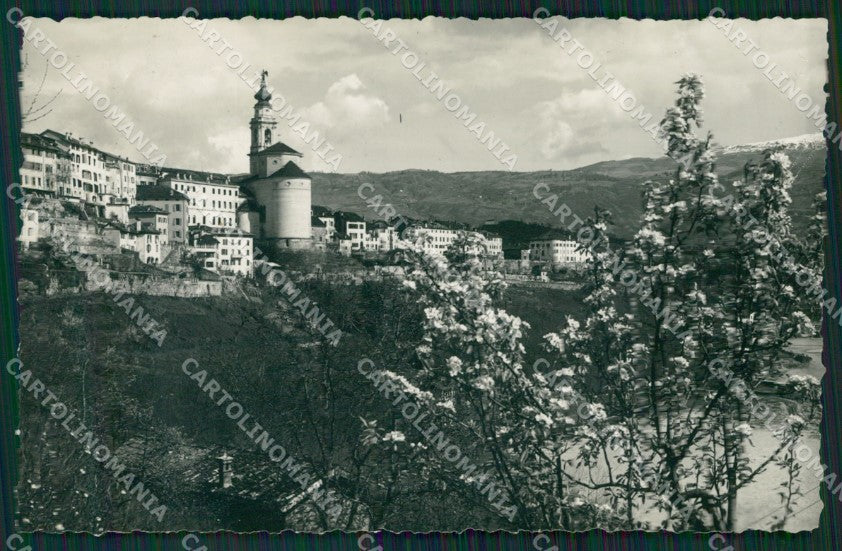 Belluno Città Foto cartolina ZKM8754 – fronte