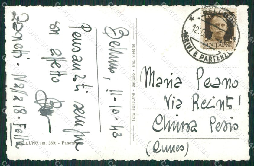 Belluno Città Foto cartolina ZKM8754 – retro