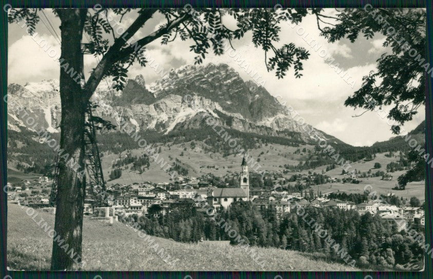 Belluno Cortina Foto cartolina ZKM8756 – fronte