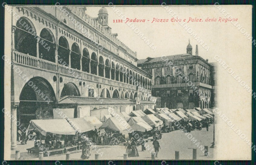 Padova Città Mercato Palazzo Regione cartolina ZKM8760 – fronte