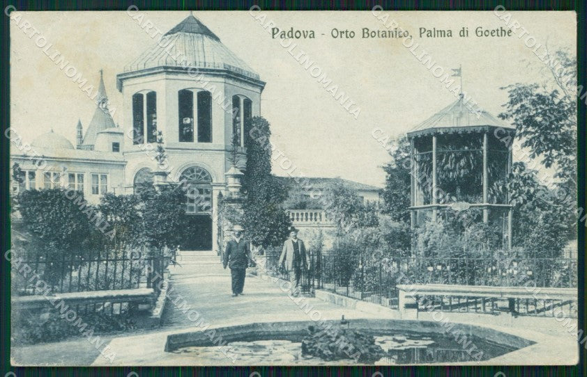 Padova Città Orto Botanico cartolina ZKM8777 – fronte