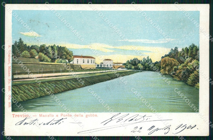 Treviso Città cartolina ZKM8835 – fronte