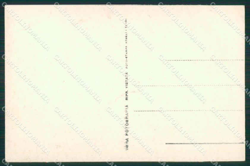 Treviso Città Foto cartolina ZKM8838 – retro