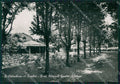 Milano San Colombano al Lambro PIEGA Foto FG cartolina ZKM9098 – fronte