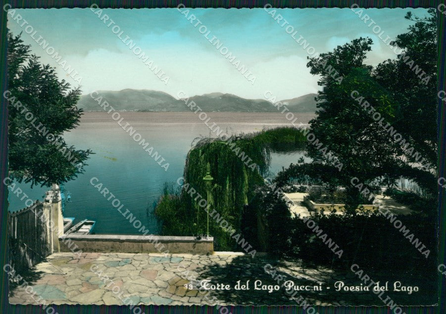 Lucca Viareggio Torre del Lago Puccini Foto FG cartolina ZKM9110 – fronte
