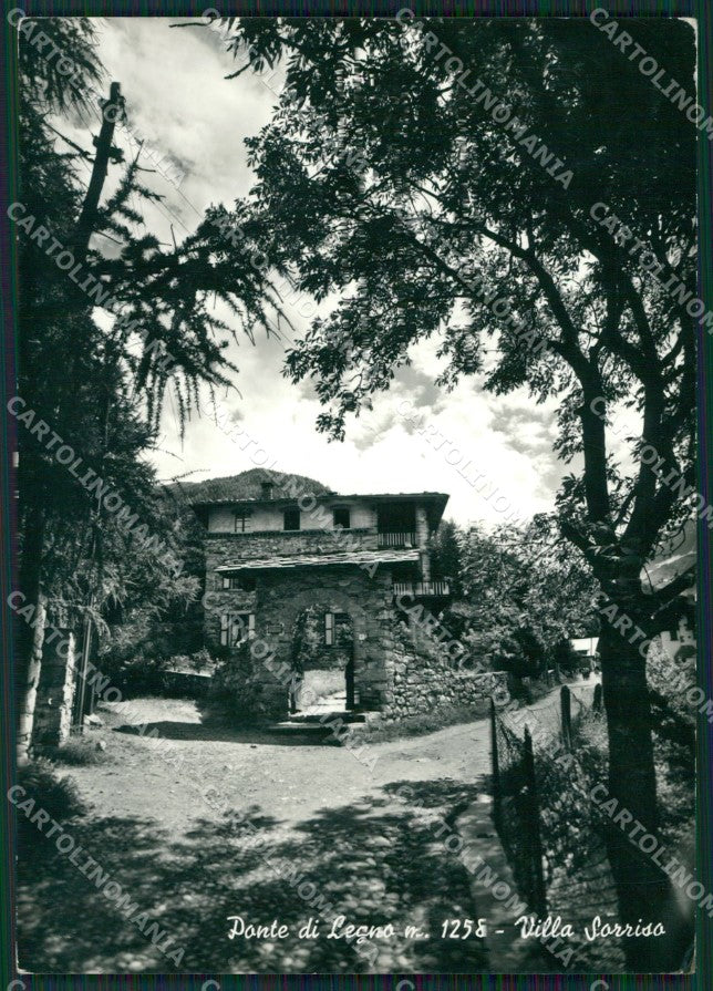 Brescia Ponte di legno Foto FG cartolina ZKM9185 – fronte