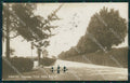 Firenze Cascine Foto cartolina ZKM9362 – fronte