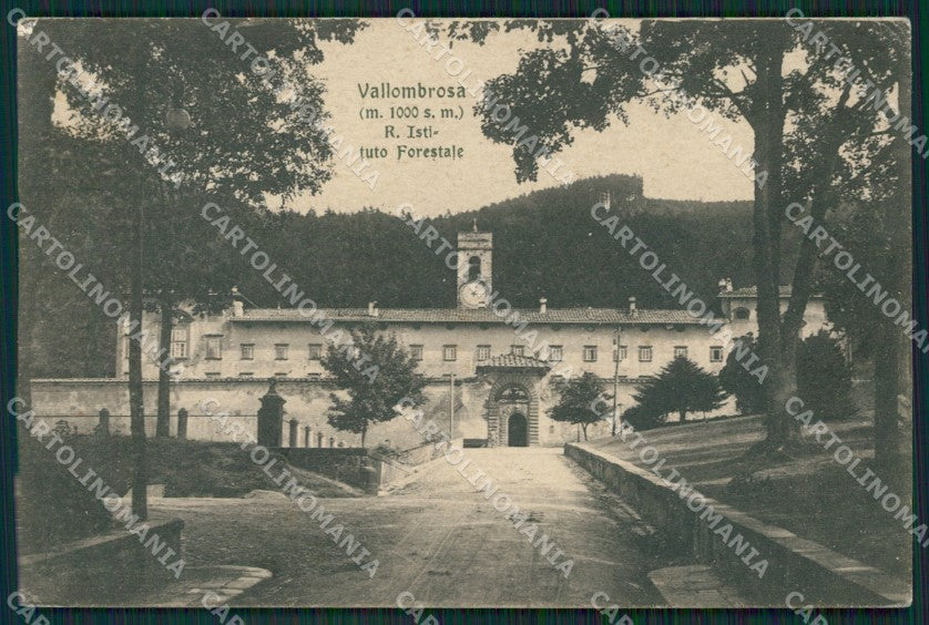 Firenze Reggello Vallombrosa cartolina ZKM9370 – fronte