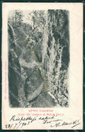 Arezzo Verna Alterocca 327 MACCHIA cartolina ZKM9385 – fronte
