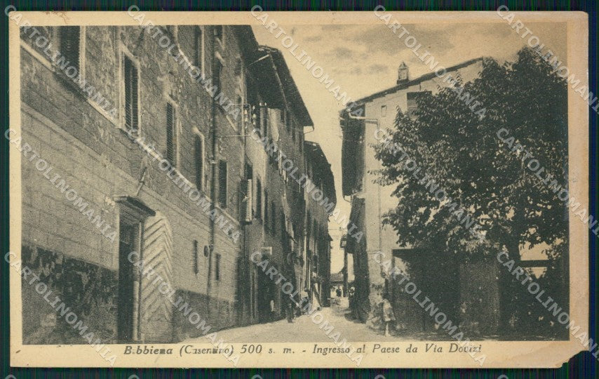 Arezzo Bibbiena ANGOLO ROTTO cartolina ZKM9386 – fronte