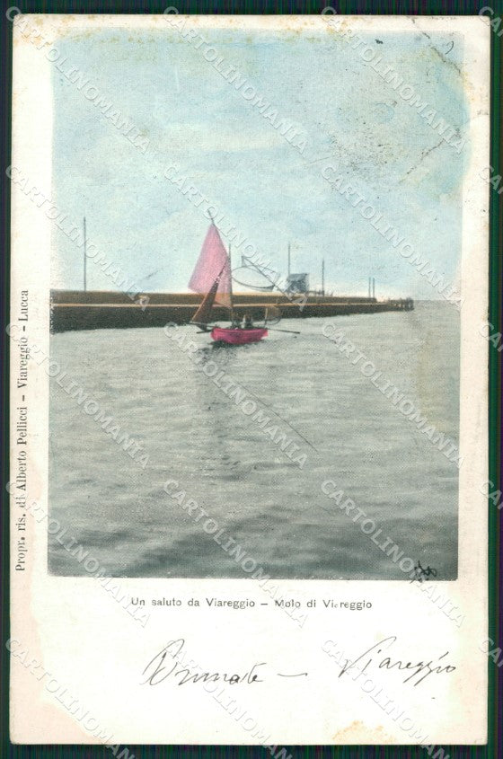 Lucca Viareggio MACCHIE cartolina ZKM9443 – fronte
