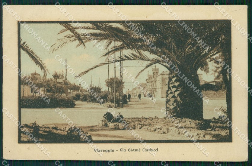 Lucca Viareggio cartolina ZKM9471 – fronte