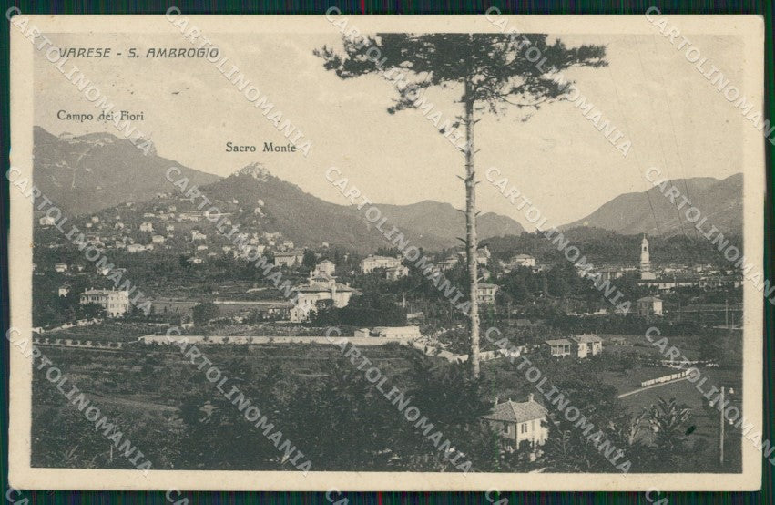 Varese Sant'Ambrogio cartolina ZKM9824 – fronte