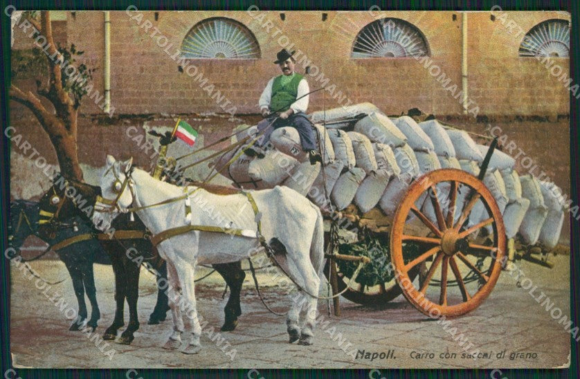Napoli Città Carro cartolina ZKM9880 – fronte