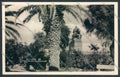 Savona Città Garibaldi Foto cartolina ZQ0062 – fronte