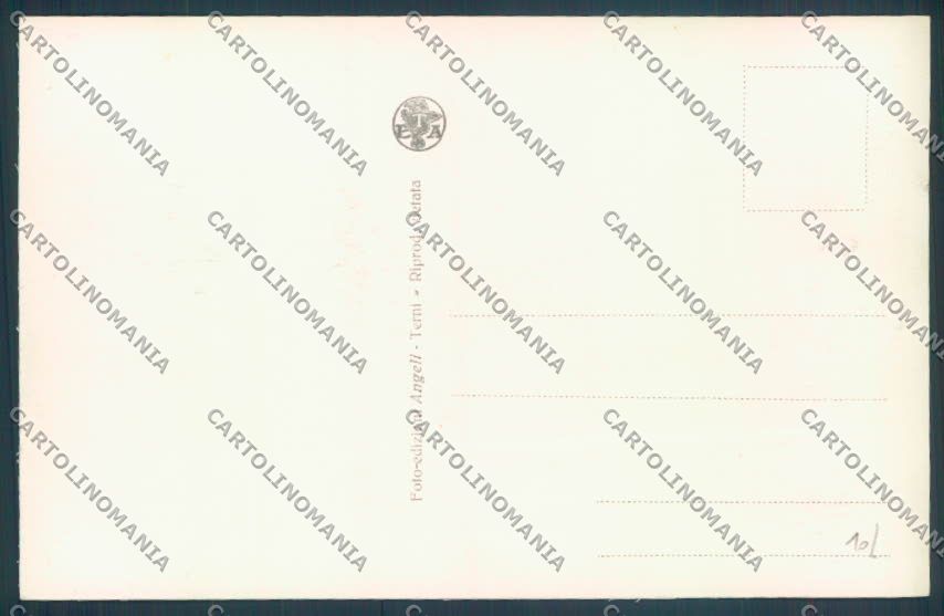 Savona Città Foto cartolina ZQ0066 – retro