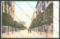 Savona Città cartolina ZQ0114 – fronte