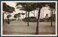 Savona Città Foto cartolina ZQ0353 – fronte