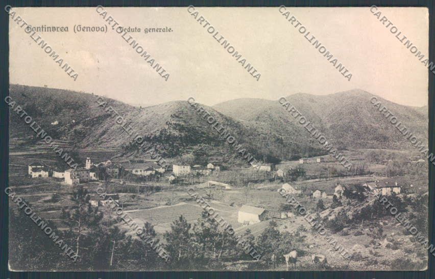Savona Pontinvrea PIEGHINE cartolina ZQ1603 – fronte