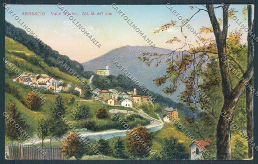 Como Schignano Abrascio cartolina ZQ1965 – fronte