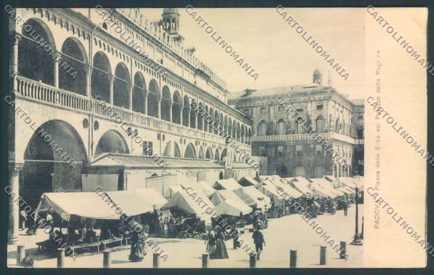 Padova Città Mercato cartolina ZQ2100 – fronte