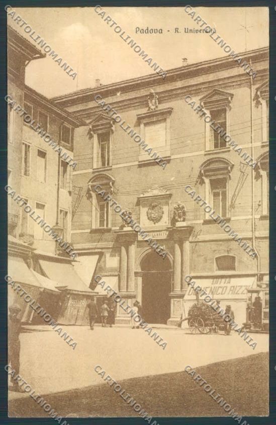 Padova Città Università cartolina ZQ2136 – fronte
