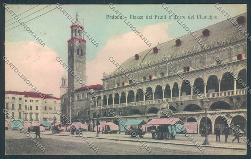 Padova Città Mercato cartolina ZQ2182 – fronte
