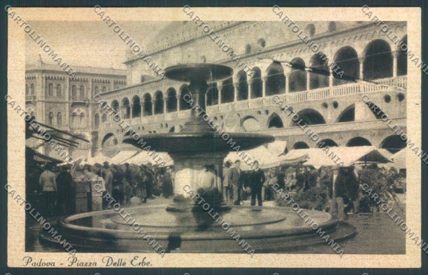 Padova Città Mercato cartolina ZQ2187 – fronte