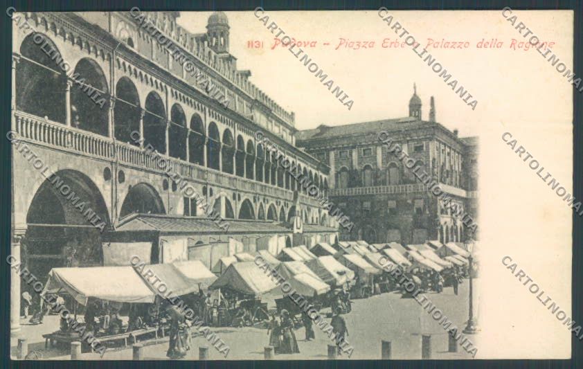 Padova Città Mercato cartolina ZQ2276 – fronte