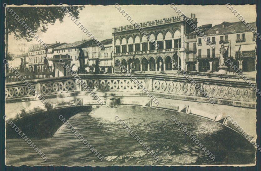 Padova Città cartolina ZQ2339 – fronte