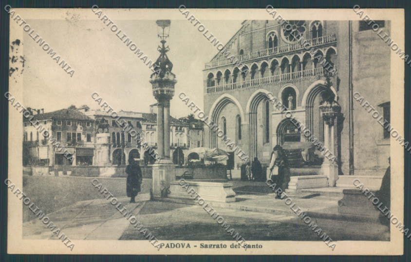 Padova Città Calesse cartolina ZQ2342 – fronte