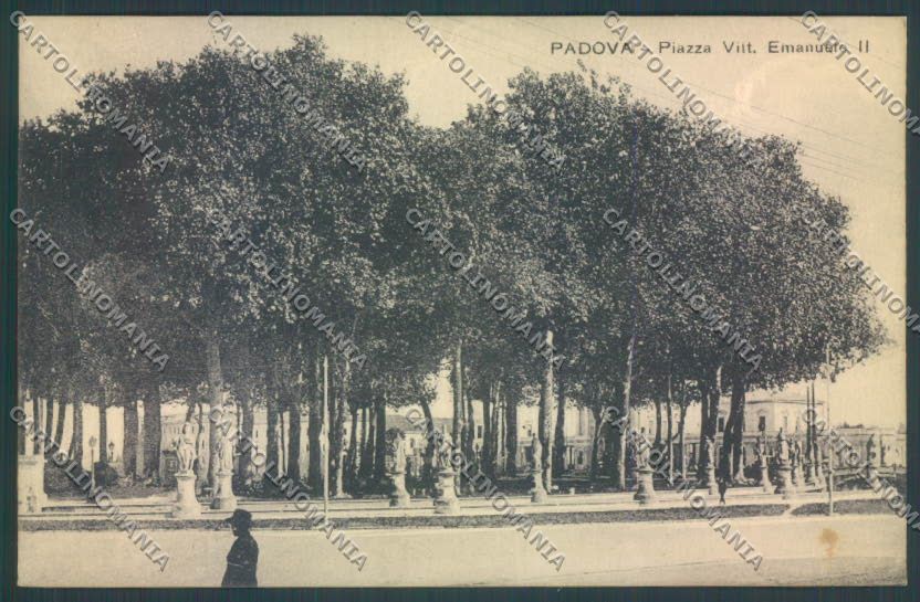 Padova Città cartolina ZQ2352 – fronte