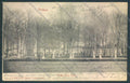 Padova Città cartolina ZQ2353 – fronte