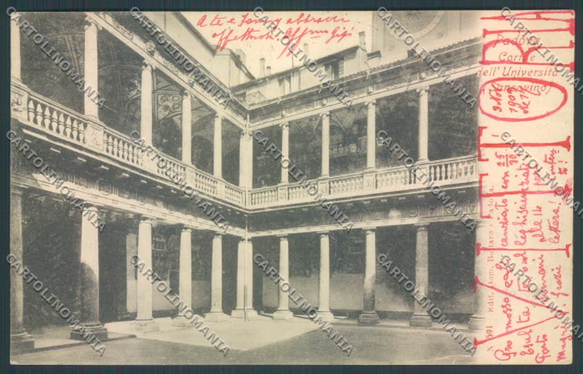 Padova Città Università cartolina ZQ2371 – fronte