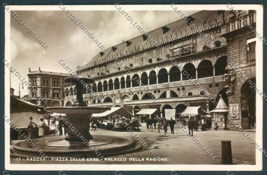 Padova Città Mercato Foto cartolina ZQ2379 – fronte