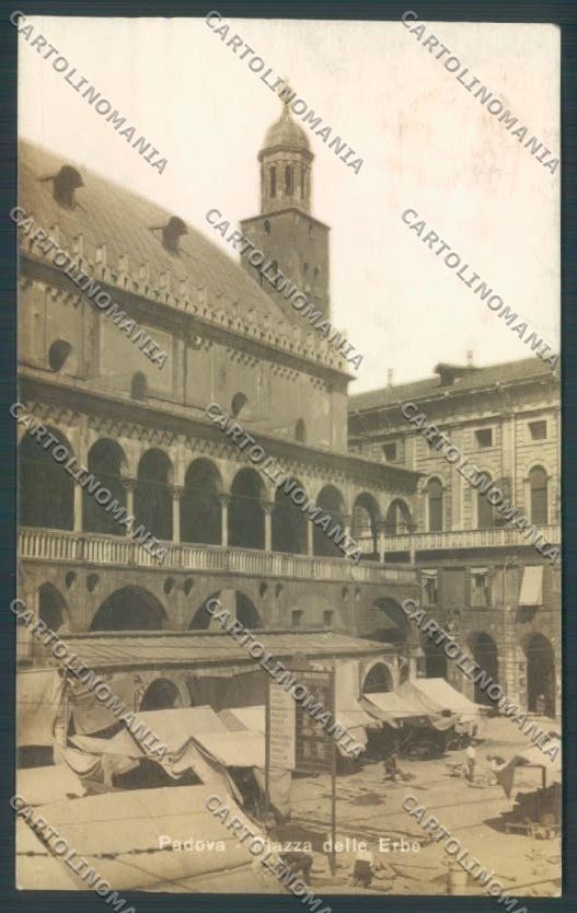 Padova Città Mercato Foto cartolina ZQ2380 – fronte