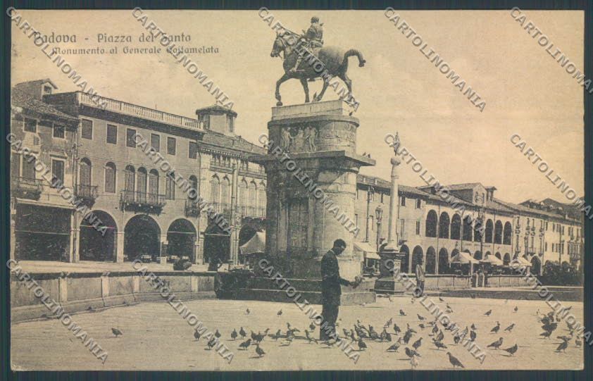 Padova Città cartolina ZQ2429 – fronte