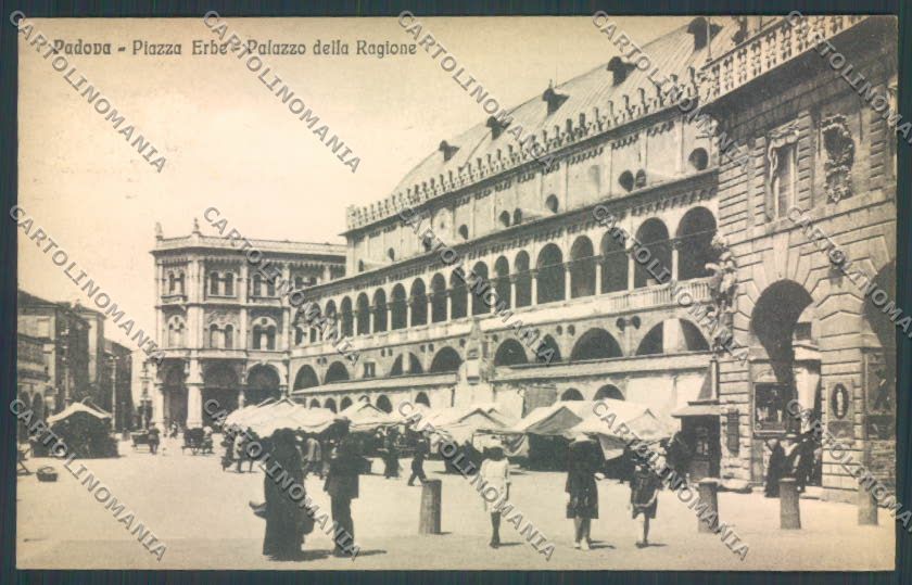 Padova Città Mercato cartolina ZQ2448 – fronte