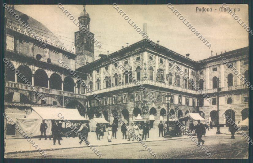 Padova Città Mercato cartolina ZQ2464 – fronte