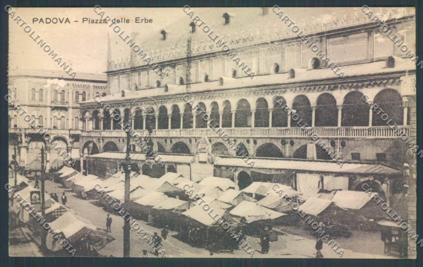 Padova Città Mercato cartolina ZQ2466 – fronte