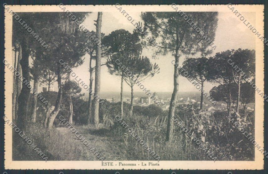 Padova Este cartolina ZQ2702 – fronte